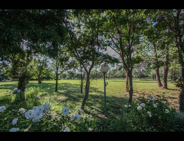 FARM FOR SALE IN KYALAMI AH